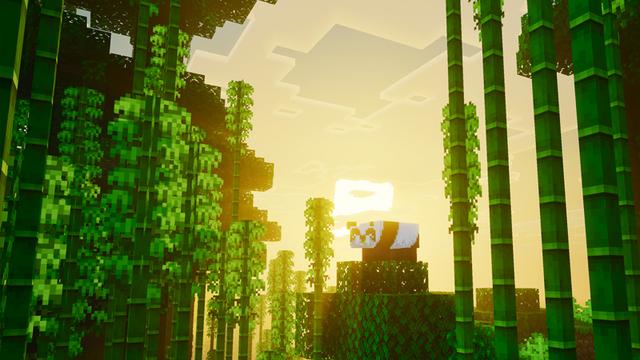 Screenshot of the Minecraft Bedrock Marketplace product Vibrance created by Pathway Studios.