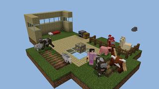 Screenshot of the Minecraft Bedrock Marketplace product 1 BLOCK created by Pickaxe Studios.
