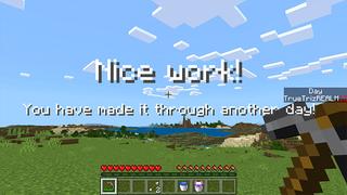 Screenshot of the Minecraft Bedrock Marketplace product 100 Day Challenge created by Pickaxe Studios.