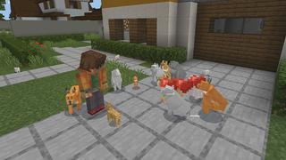 Screenshot of the Minecraft Bedrock Marketplace product CAT+ created by Pickaxe Studios.