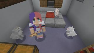 Screenshot of the Minecraft Bedrock Marketplace product CAT+ created by Pickaxe Studios.