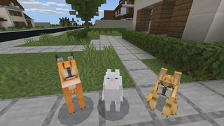 Screenshot of the Minecraft Bedrock Marketplace product CAT+ created by Pickaxe Studios.