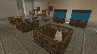 Screenshot of the Minecraft Bedrock Marketplace product CAT+ created by Pickaxe Studios.