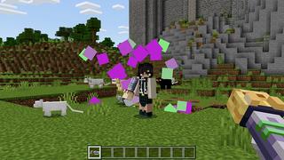 Screenshot of the Minecraft Bedrock Marketplace product Cat Tools created by Pickaxe Studios.