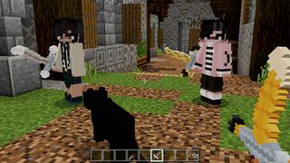 Screenshot of the Minecraft Bedrock Marketplace product Cat Tools created by Pickaxe Studios.
