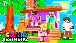 Thumbnail of the Minecraft Bedrock Marketplace product Color Aesthetic created by Pickaxe Studios.