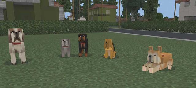 Panorama of the Minecraft Bedrock Marketplace product Dogs! created by Pickaxe Studios.
