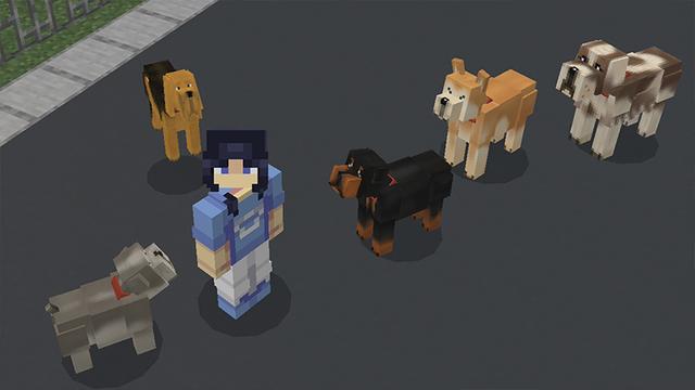Screenshot of the Minecraft Bedrock Marketplace product Dogs! created by Pickaxe Studios.