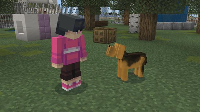 Screenshot of the Minecraft Bedrock Marketplace product Dogs! created by Pickaxe Studios.