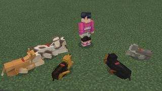 Screenshot of the Minecraft Bedrock Marketplace product Dogs! created by Pickaxe Studios.