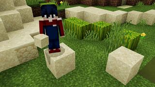 Screenshot of the Minecraft Bedrock Marketplace product DON’T Touch GRASS! created by Pickaxe Studios.