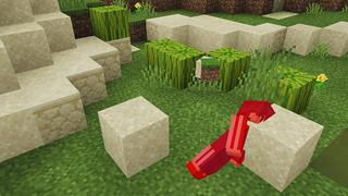 Screenshot of the Minecraft Bedrock Marketplace product DON’T Touch GRASS! created by Pickaxe Studios.