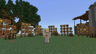 Screenshot of the Minecraft Bedrock Marketplace product GOD ORE created by Pickaxe Studios.