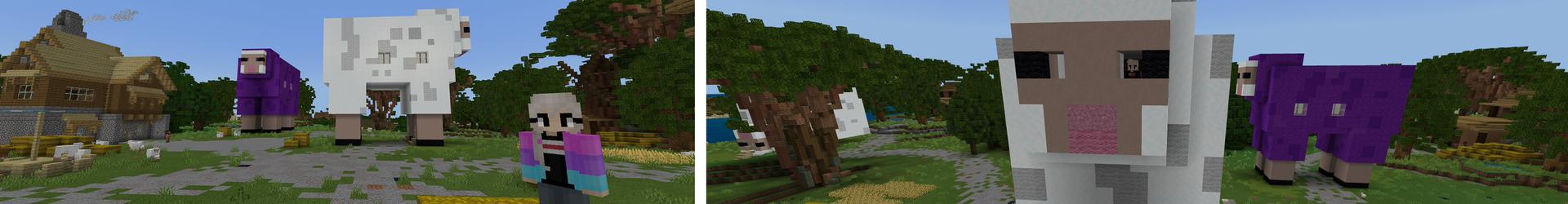 Panorama of the Minecraft Bedrock Marketplace product How to LIVE INSIDE A SHEEP! created by Pickaxe Studios.