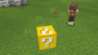 Screenshot of the Minecraft Bedrock Marketplace product LUCKY BLOCK created by Pickaxe Studios.