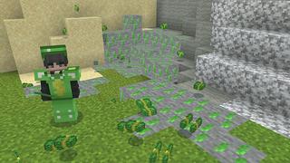 Screenshot of the Minecraft Bedrock Marketplace product Money Ore World created by Pickaxe Studios.