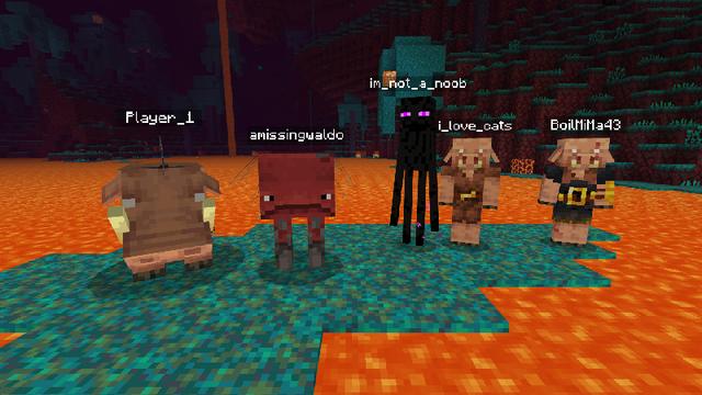 Screenshot of the Minecraft Bedrock Marketplace product Morph: Add-On Edition created by Pickaxe Studios.