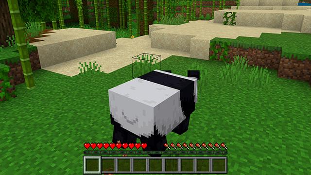 Screenshot of the Minecraft Bedrock Marketplace product Morph: Add-On Edition created by Pickaxe Studios.