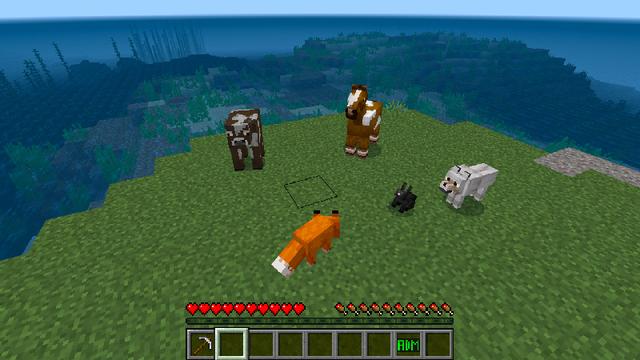 Screenshot of the Minecraft Bedrock Marketplace product Morph: Add-On Edition created by Pickaxe Studios.