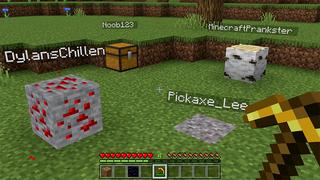 Screenshot of the Minecraft Bedrock Marketplace product MORPH INTO BLOCKS! created by Pickaxe Studios.