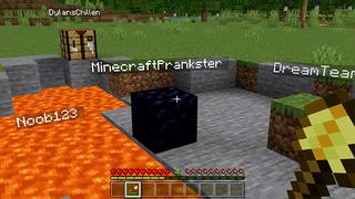 Screenshot of the Minecraft Bedrock Marketplace product MORPH INTO BLOCKS! created by Pickaxe Studios.