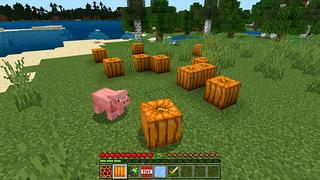 Screenshot of the Minecraft Bedrock Marketplace product MORPH INTO BLOCKS! created by Pickaxe Studios.