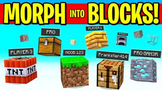 Thumbnail of the Minecraft Bedrock Marketplace product MORPH INTO BLOCKS! created by Pickaxe Studios.