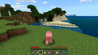 Screenshot of the Minecraft Bedrock Marketplace product MORPH created by Pickaxe Studios.