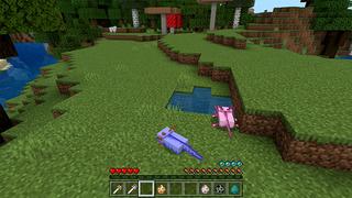 Screenshot of the Minecraft Bedrock Marketplace product MORPH created by Pickaxe Studios.