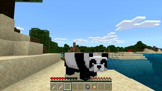 Screenshot of the Minecraft Bedrock Marketplace product MORPH created by Pickaxe Studios.