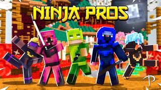 Thumbnail of the Minecraft Bedrock Marketplace product NINJA PROS created by Pickaxe Studios.