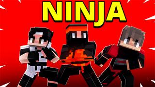 Thumbnail of the Minecraft Bedrock Marketplace product NINJA created by Pickaxe Studios.