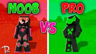 Thumbnail of the Minecraft Bedrock Marketplace product NOOB VS PRO Armor created by Pickaxe Studios.
