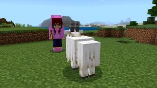 Screenshot of the Minecraft Bedrock Marketplace product ORIGINAL LUCKY BLOCK! created by Pickaxe Studios.