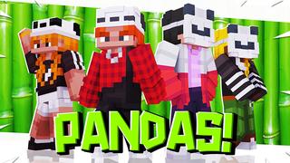 Thumbnail of the Minecraft Bedrock Marketplace product PANDAS! created by Pickaxe Studios.