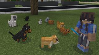 Screenshot of the Minecraft Bedrock Marketplace product PETS! created by Pickaxe Studios.