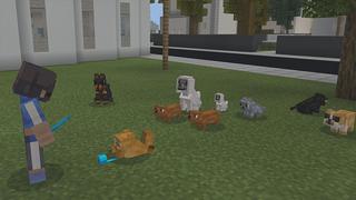 Screenshot of the Minecraft Bedrock Marketplace product PETS! created by Pickaxe Studios.