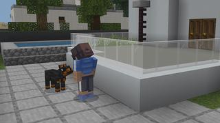 Screenshot of the Minecraft Bedrock Marketplace product PETS! created by Pickaxe Studios.