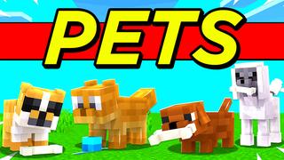 Thumbnail of the Minecraft Bedrock Marketplace product PETS! created by Pickaxe Studios.