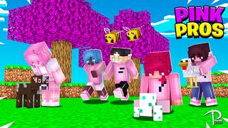 Thumbnail of the Minecraft Bedrock Marketplace product PINK PROS created by Pickaxe Studios.