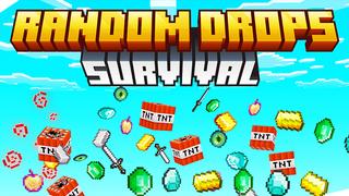 Thumbnail of the Minecraft Bedrock Marketplace product Random Drops Survival created by Pickaxe Studios.
