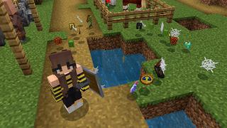 Screenshot of the Minecraft Bedrock Marketplace product Random Drops created by Pickaxe Studios.