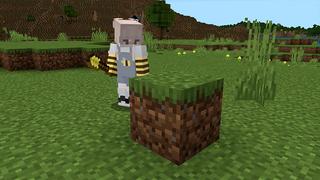 Screenshot of the Minecraft Bedrock Marketplace product Random Drops created by Pickaxe Studios.