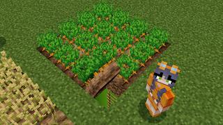 Screenshot of the Minecraft Bedrock Marketplace product SECRET FARM BASE created by Pickaxe Studios.