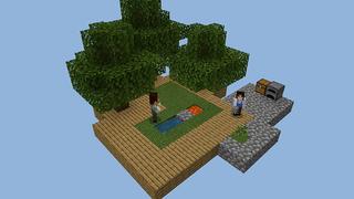 Screenshot of the Minecraft Bedrock Marketplace product Skyblock. created by Pickaxe Studios.