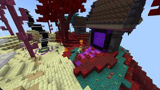 Screenshot of the Minecraft Bedrock Marketplace product SkyBlock Biomes created by Pickaxe Studios.