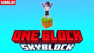 Thumbnail of the Minecraft Bedrock Marketplace product SKYBLOCK ONE BLOCK WORLD ! created by Pickaxe Studios.