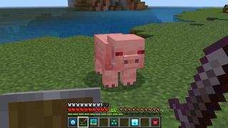 Screenshot of the Minecraft Bedrock Marketplace product TRAPS created by Pickaxe Studios.