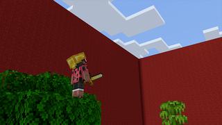 Screenshot of the Minecraft Bedrock Marketplace product WALLS created by Pickaxe Studios.