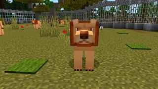Screenshot of the Minecraft Bedrock Marketplace product ZOO! created by Pickaxe Studios.